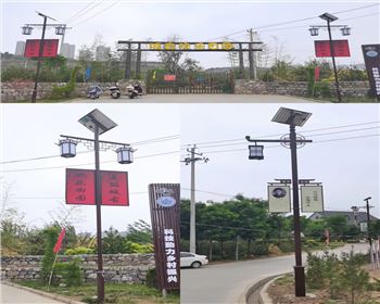 韓城城固歡樂園景觀太陽能路燈
